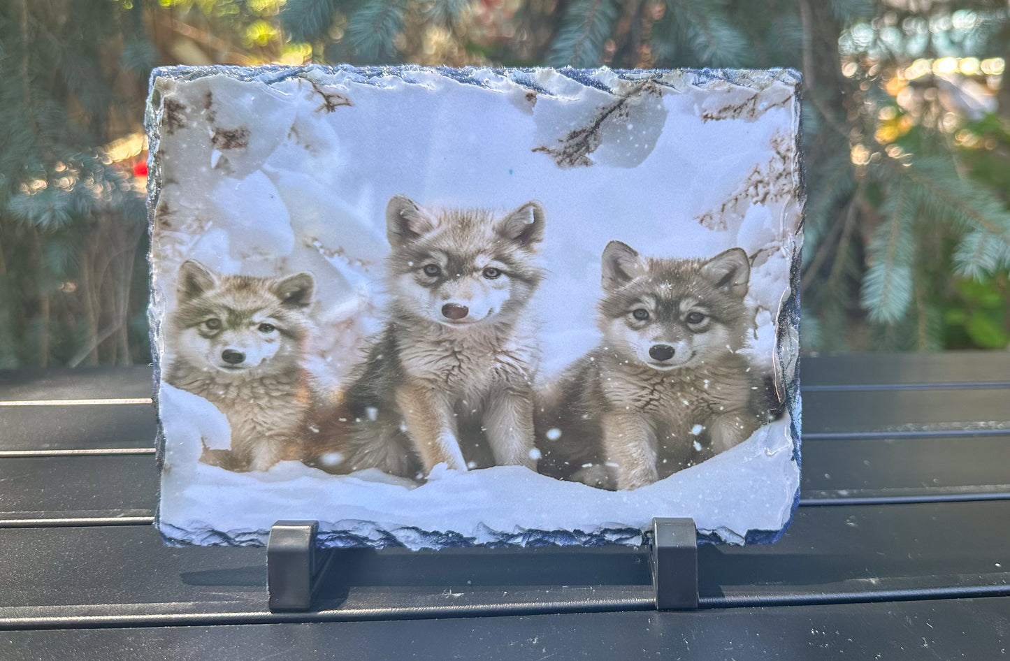 Wolf Cubs in Winter Decorative Plaque, Wolf Lover Gift, Wolf Slate