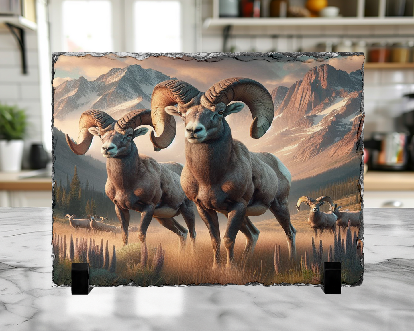 Colorado Mountain Big Horn Sheep Photo Slate, Snow Capped Mountains Display Stand