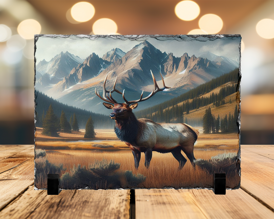 Elk in Mountain Valley Photo Slate - Colorado Wildlife Home Decor