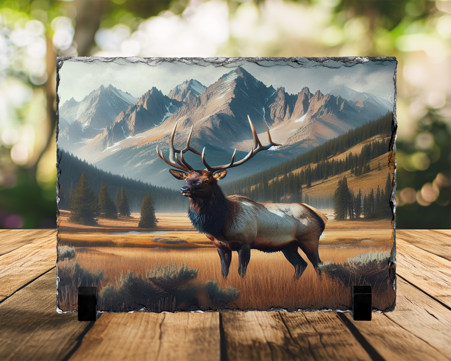 Colorado Wildlife Photo Slate, Elk in Mountain Valley Home Decor