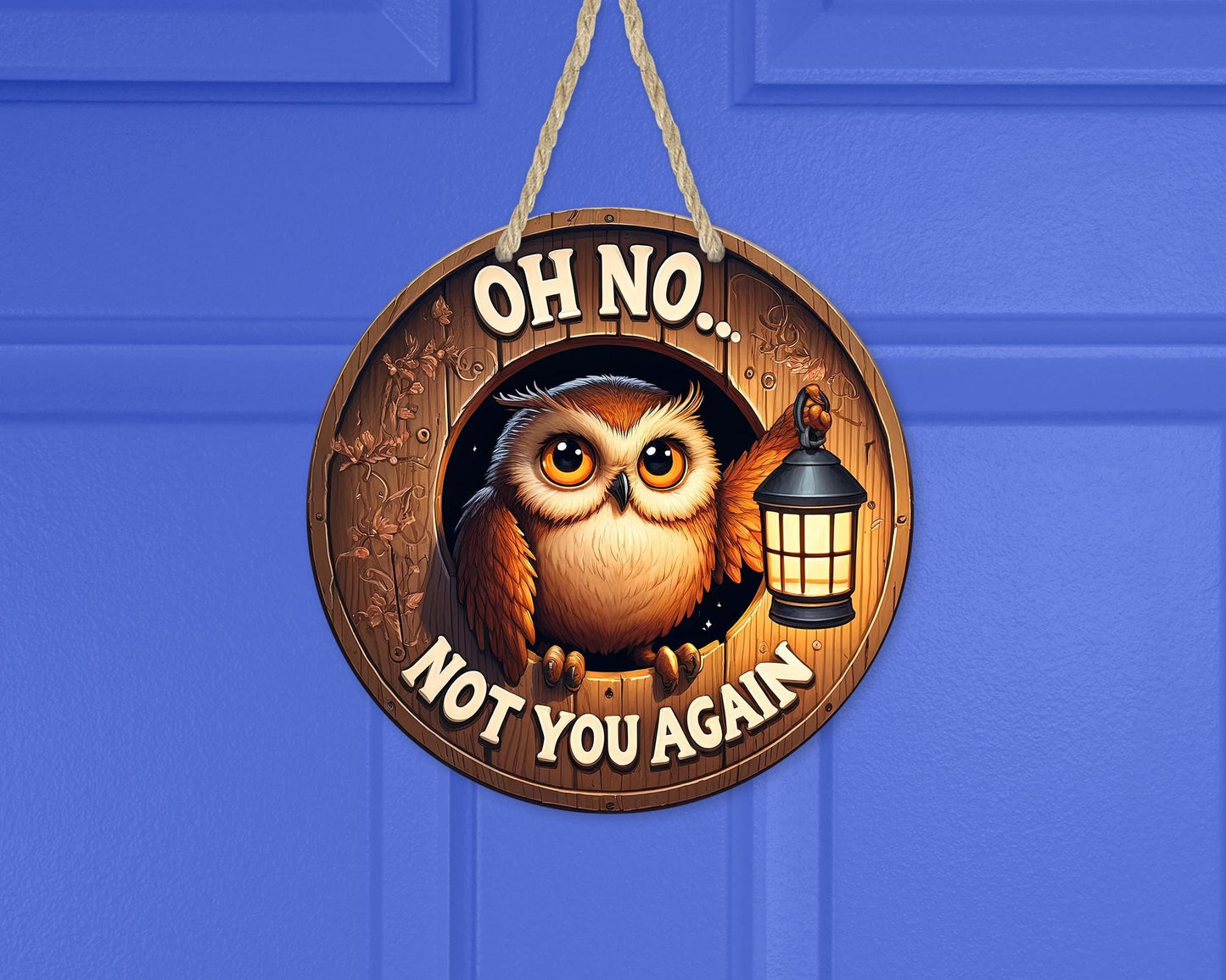 Humorous Owl Lantern Door Sign - 10x10 Aluminum Round Hanger with Faux Peek Hole Unique Gift for Sisters and New Home
