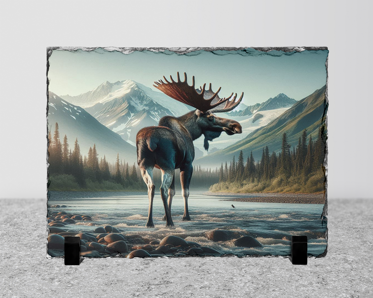 Outdoor Lover Gift, Moose Photo Slate, Colorado Wildlife Decor