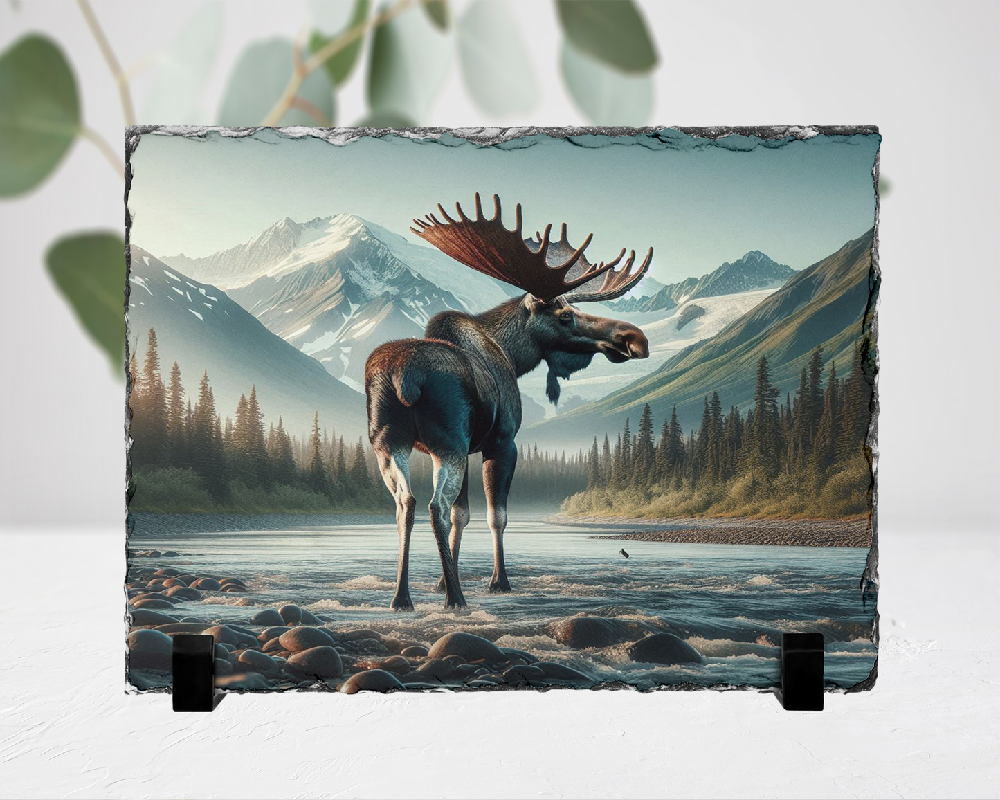 Outdoor Lover Gift, Moose Photo Slate, Colorado Wildlife Decor