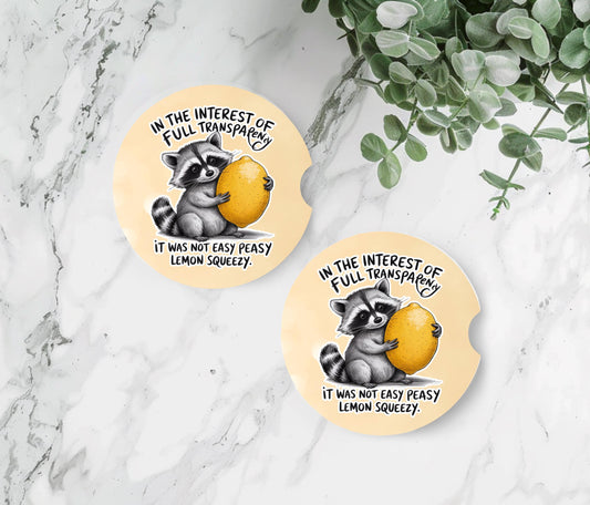 Raccoon Sandstone Car Coasters Set of 2 - Funny Cup Holder Accessories