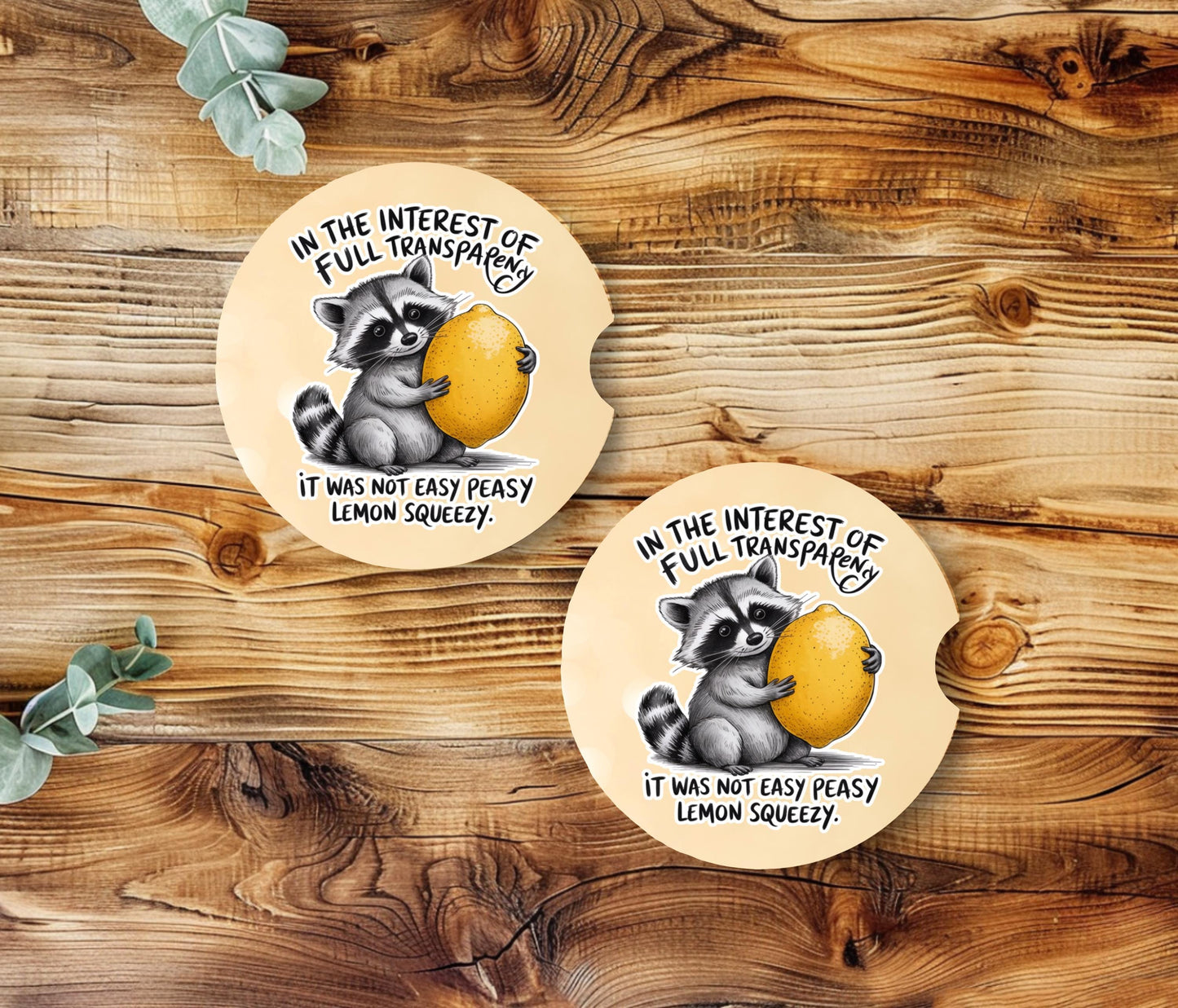 Raccoon Sandstone Car Coasters Set of 2 - Funny Cup Holder Accessories