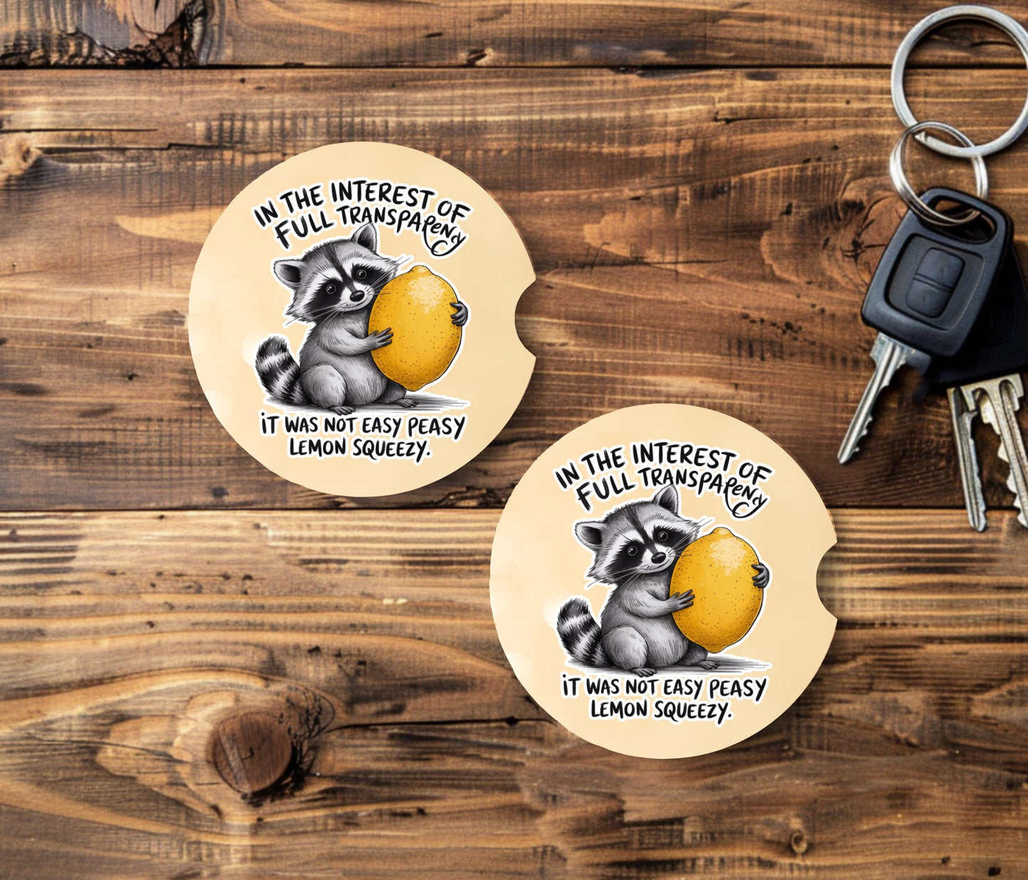 Raccoon Sandstone Car Coasters Set of 2 - Funny Cup Holder Accessories
