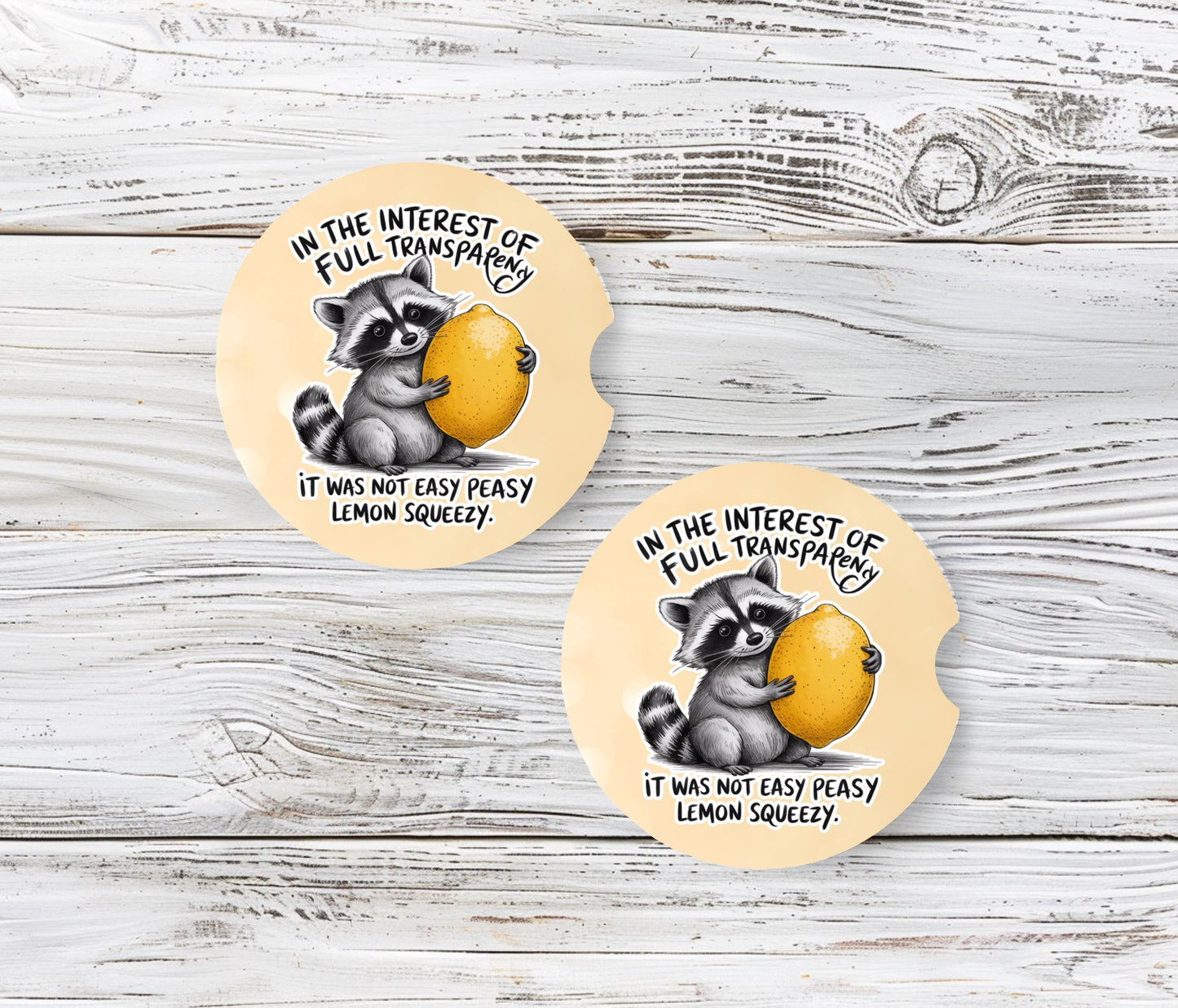 Raccoon Sandstone Car Coasters Set of 2 - Funny Cup Holder Accessories