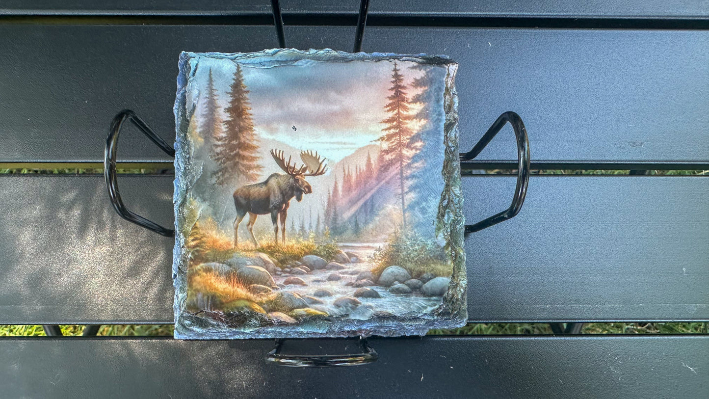 Moose Sunset Scene Slate Coasters, Coaster Set of 4, Moose Lover Gifts, Outdoorsy Gift Ideas