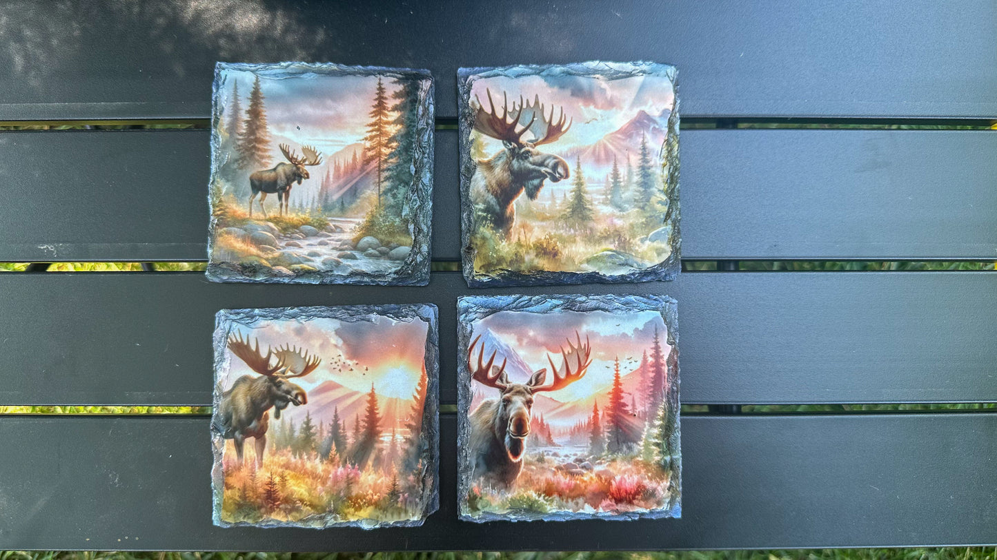 Moose Sunset Scene Slate Coasters, Coaster Set of 4, Moose Lover Gifts, Outdoorsy Gift Ideas