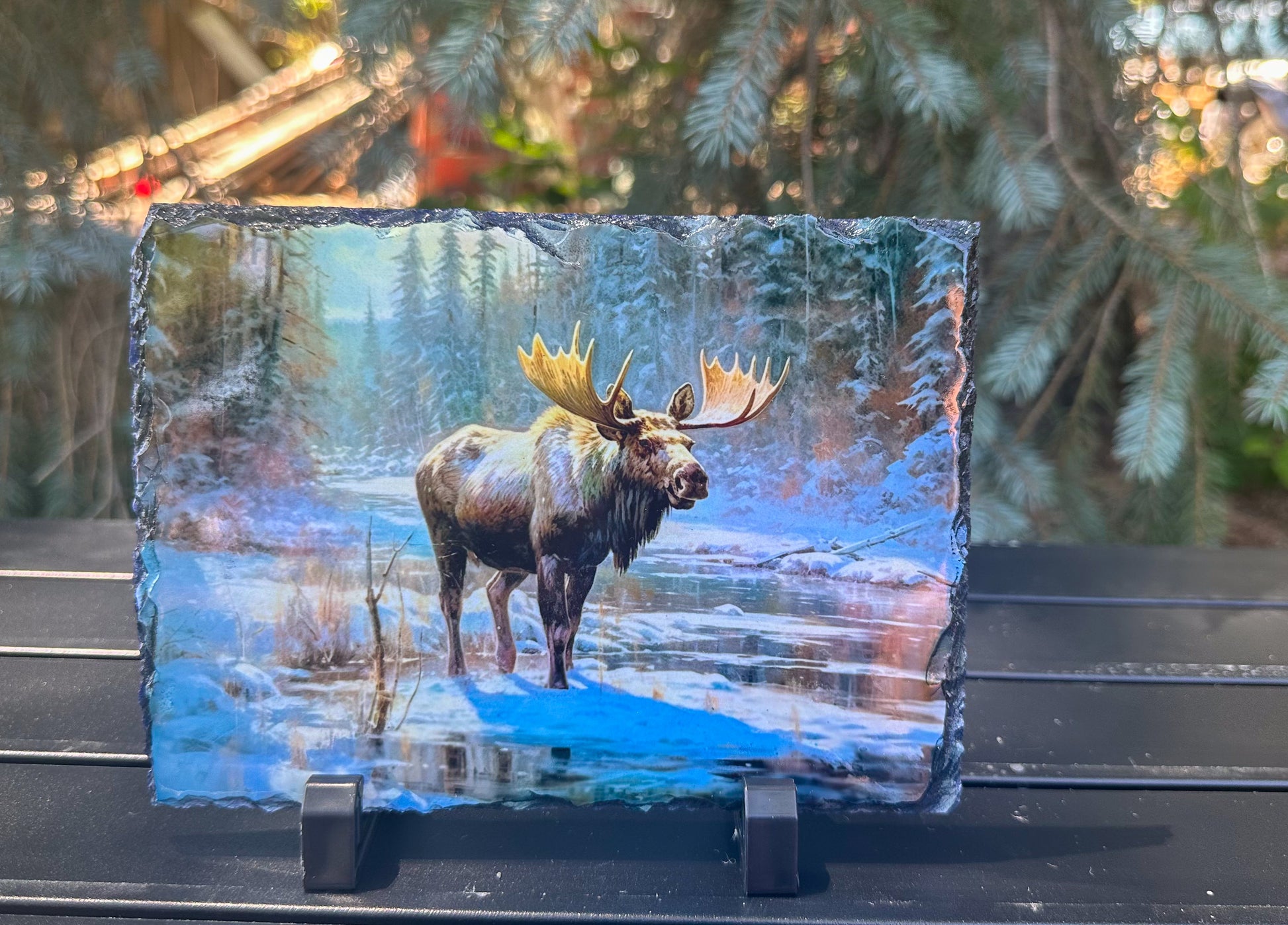 Moose in the Winter Forest Slate