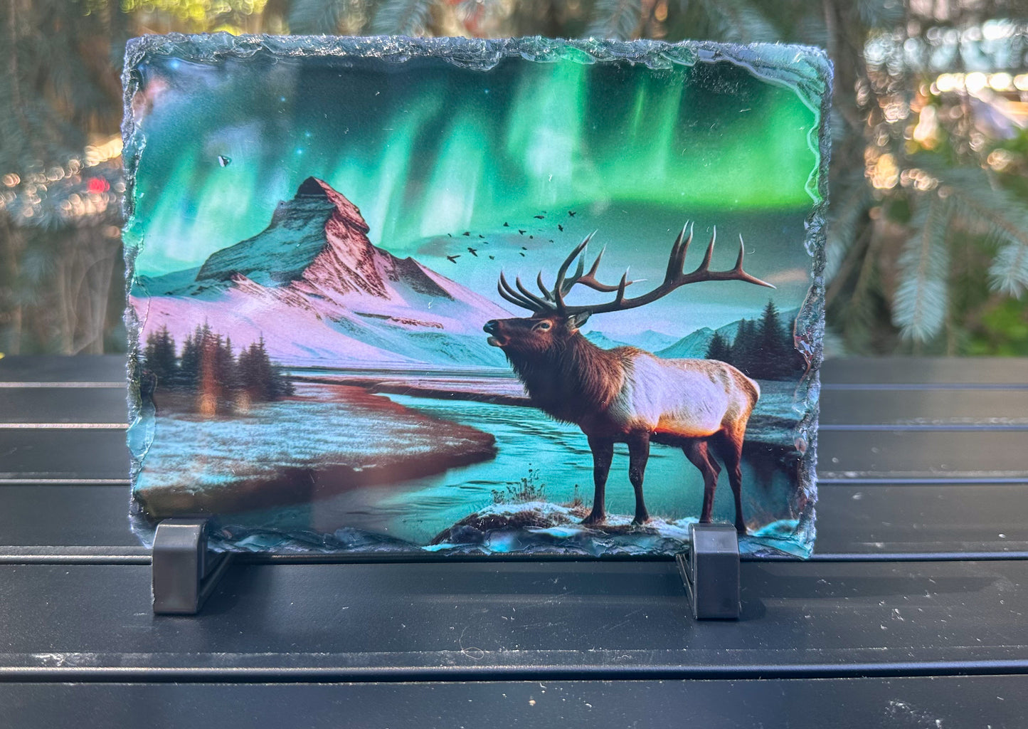 Elk Winter Scene With Northern Lights Decorative Plaque, Elk Photo On Slate, Outdoorsy Gift for Him