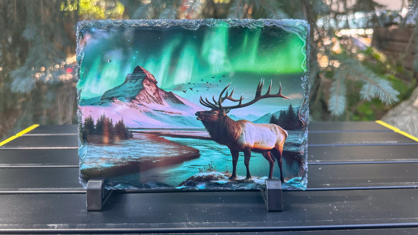 Elk Winter Scene With Northern Lights Decorative Plaque, Elk Photo On Slate, Outdoorsy Gift for Him