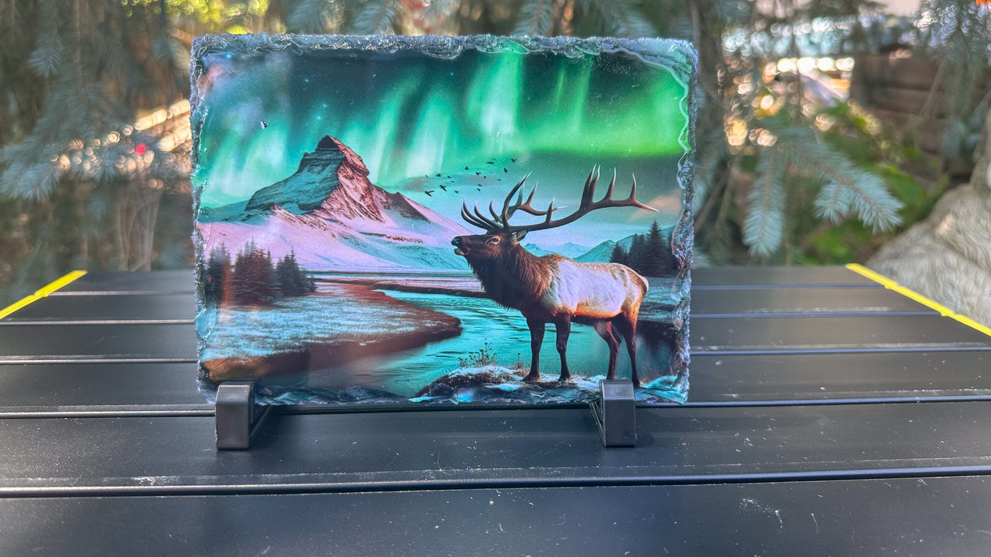 Elk Winter Scene With Northern Lights Decorative Plaque, Elk Photo On Slate, Outdoorsy Gift for Him