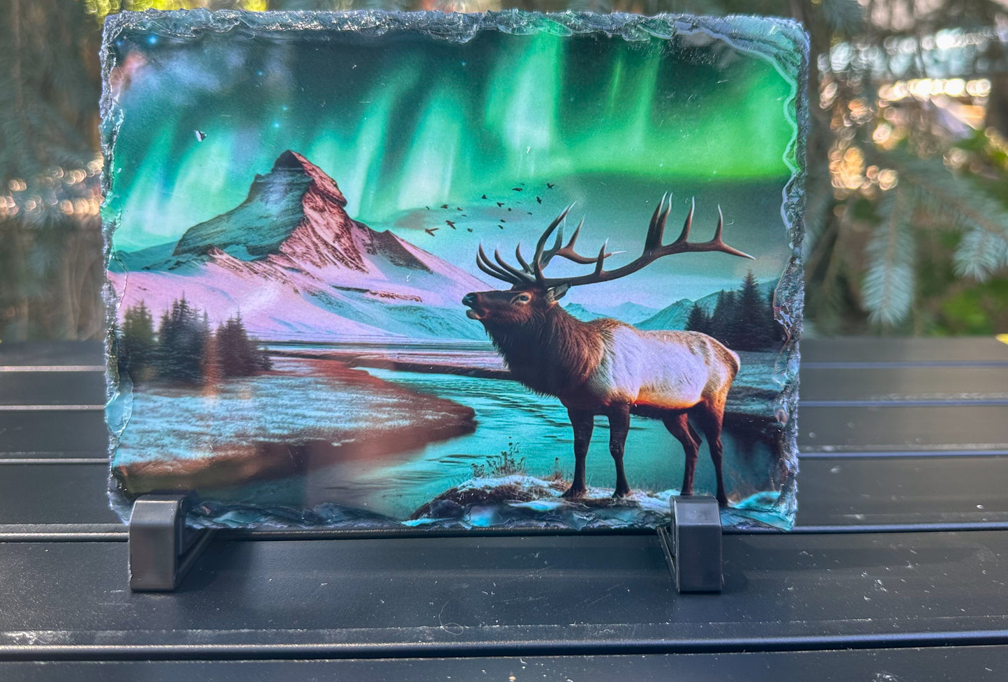 Elk Winter Scene With Northern Lights Decorative Plaque, Elk Photo On Slate, Outdoorsy Gift for Him