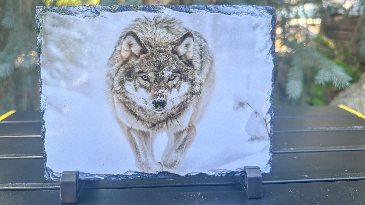 Wolf On A Mission Decorative Plaque, Wolf Slate, Wolf Lover Gift