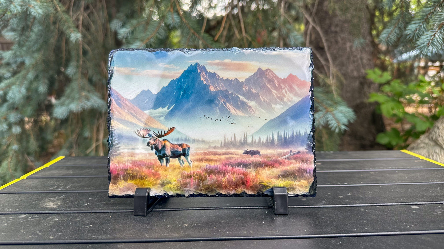 Moose in a mountain valley on slate