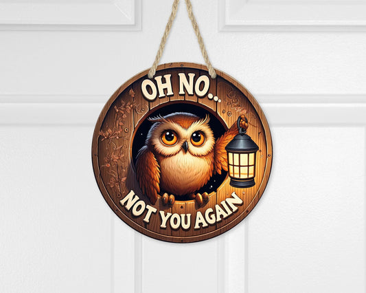 Humorous Owl Holding Lantern Door Sign - 10x10 Aluminum Round Hanger with Faux Peek Hole, Unique Gifts for Sisters, New Home Gift, Funny