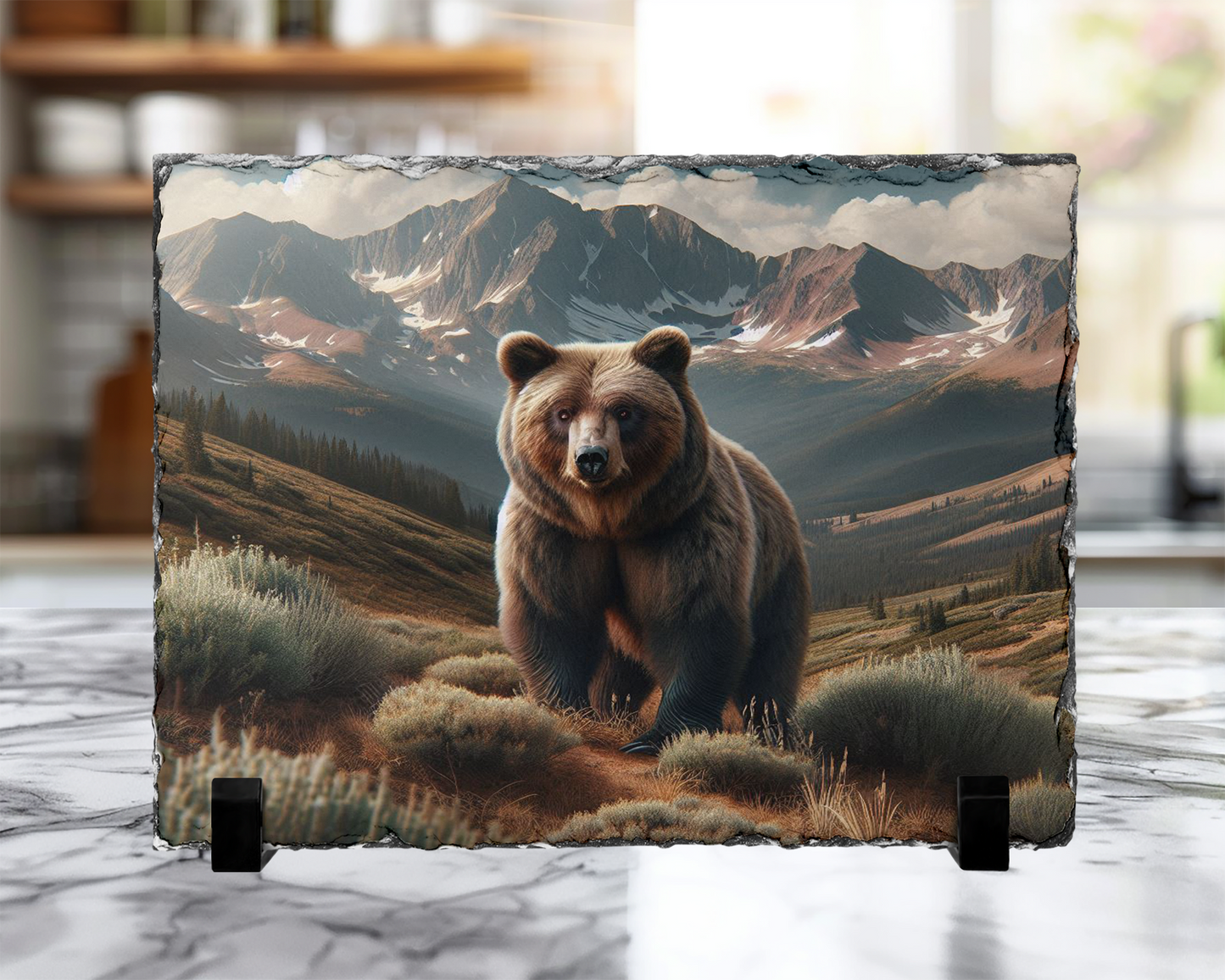 Brown Bear Photo Slate with Display Legs, Colorado Mountains Wildlife
