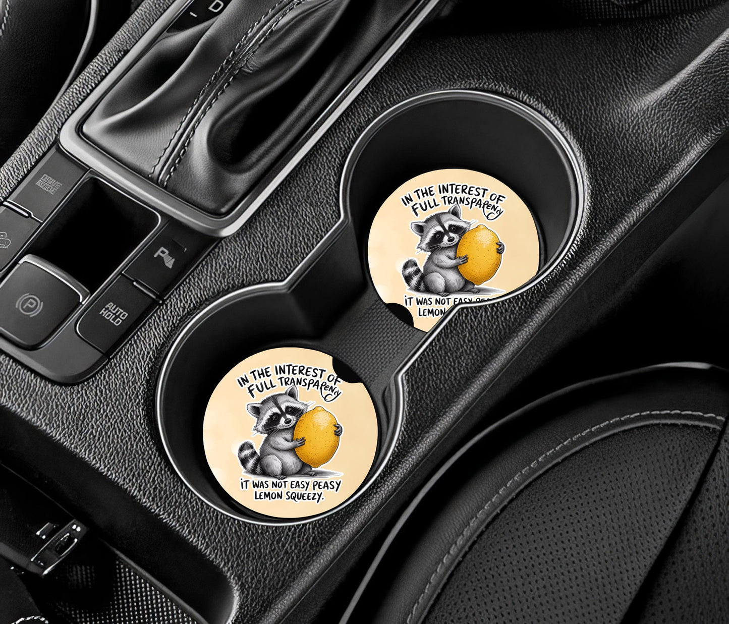Raccoon Sandstone Car Coasters Set of 2 - Funny Cup Holder Accessories