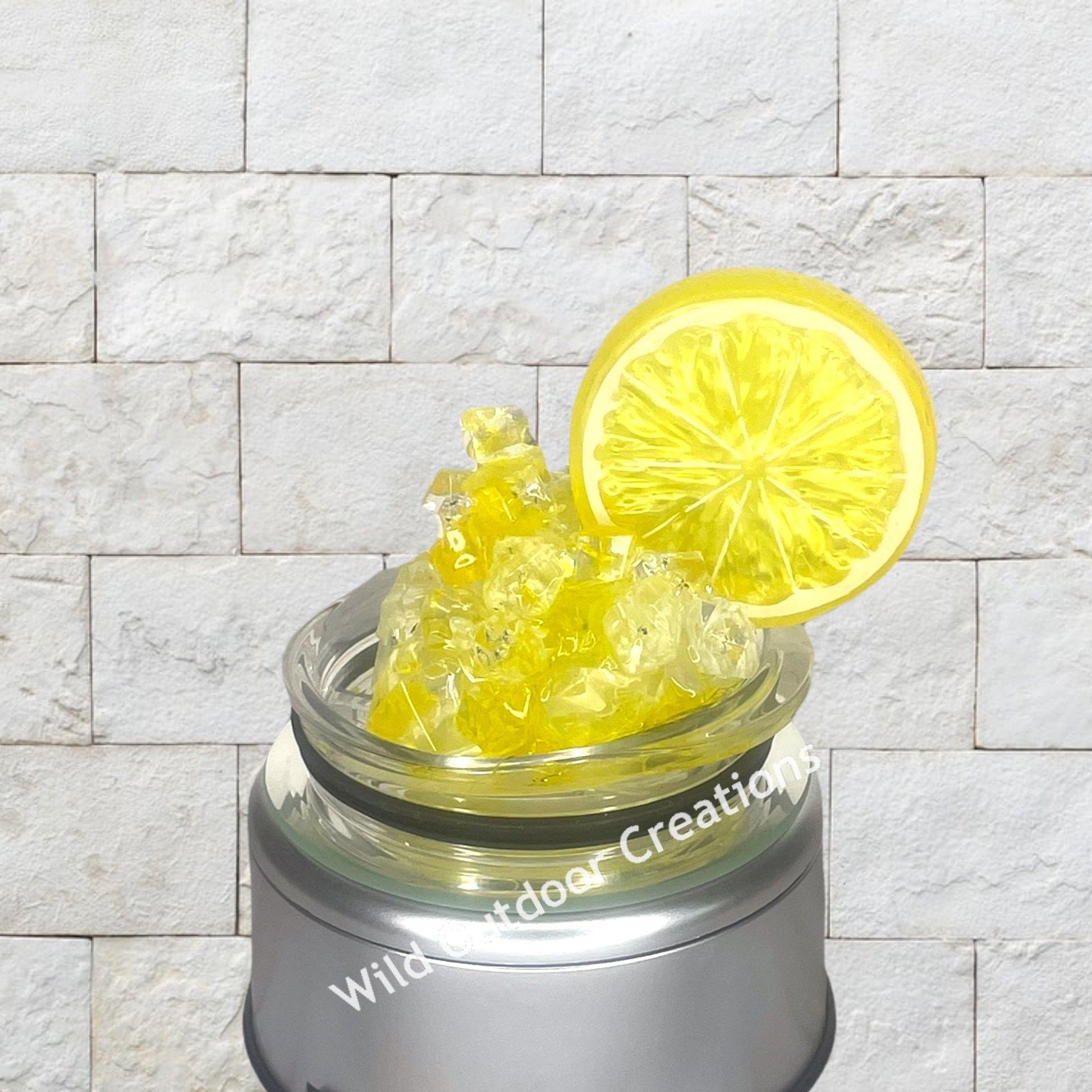 When Life Gives You Lemons Tumbler, Vodka Tumbler, Water Bottle w Lid and Straw, Ice Topped Tumbler - Wild Outdoor Creations